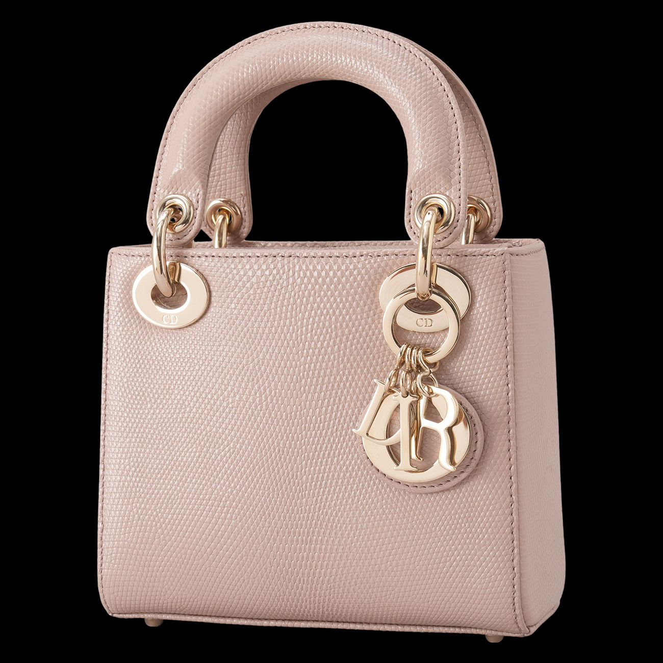 CHRISTIAN DIOR(USED)디올 리자드 레이디 디올 미니